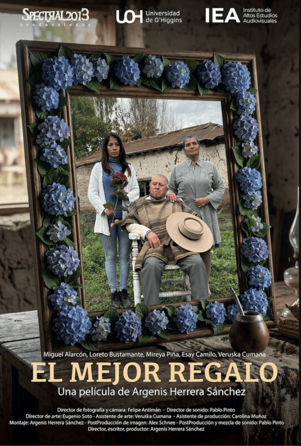 The Best Gift (El mejor regalo) poster